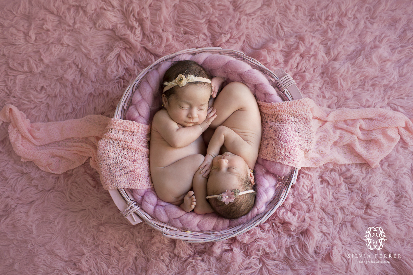 fotos de recien nacidos mellizos