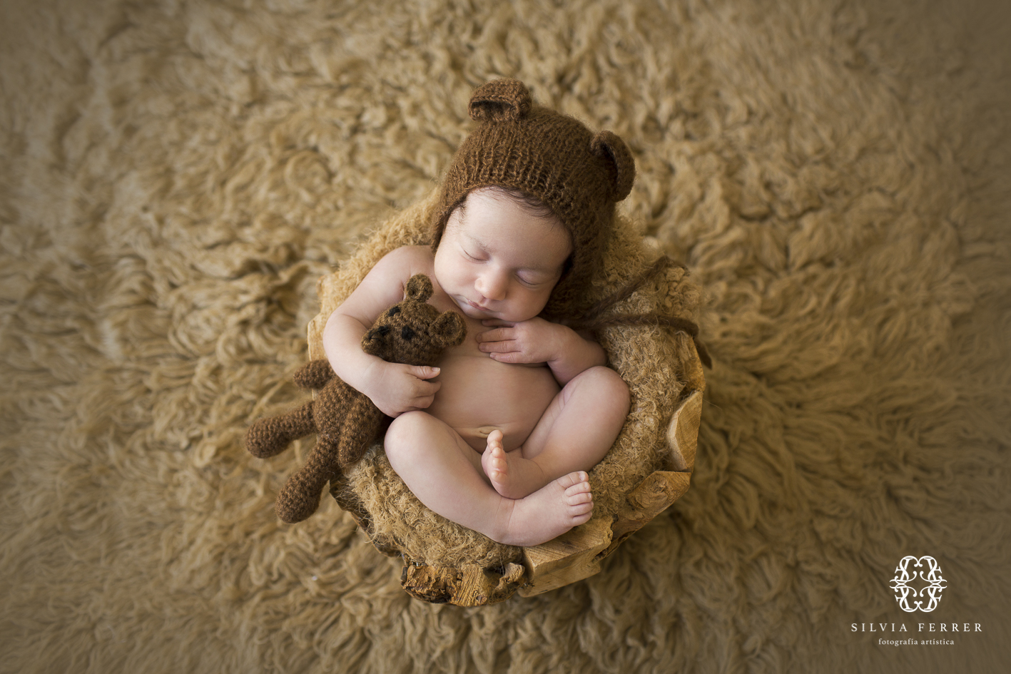 newborn bear