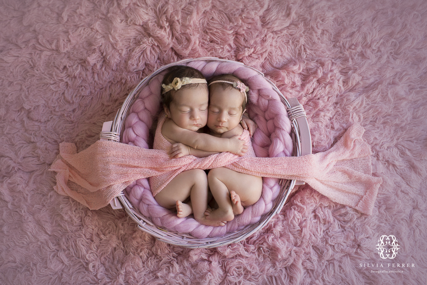 fotos de recien nacidos mellizos